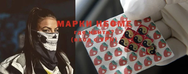 гашик Алексеевка