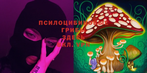 гашик Алексеевка