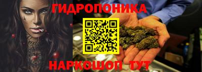 a pvp Аргун