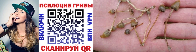 Галлюциногенные грибы Cubensis hydra ONION Асино