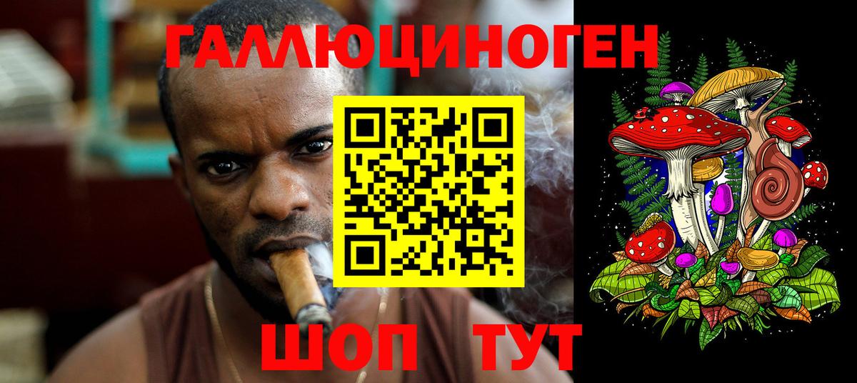 Асино  Псилоцибиновые грибы прущие грибы  Вход с VPN 